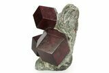 Impressive Almandine Garnets in Schist - Italy #352075-2